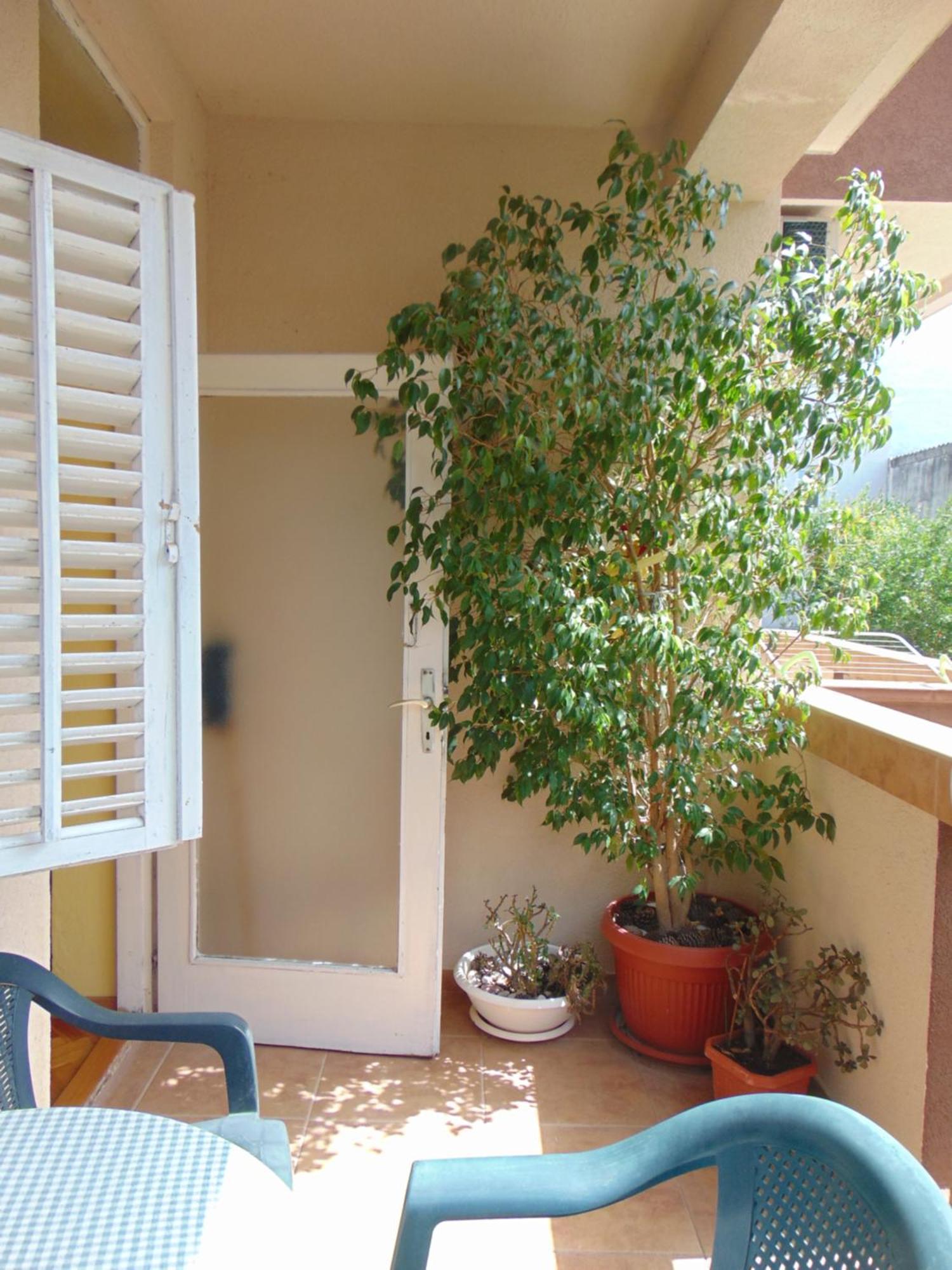 Guest House Ivan بودفا المظهر الخارجي الصورة