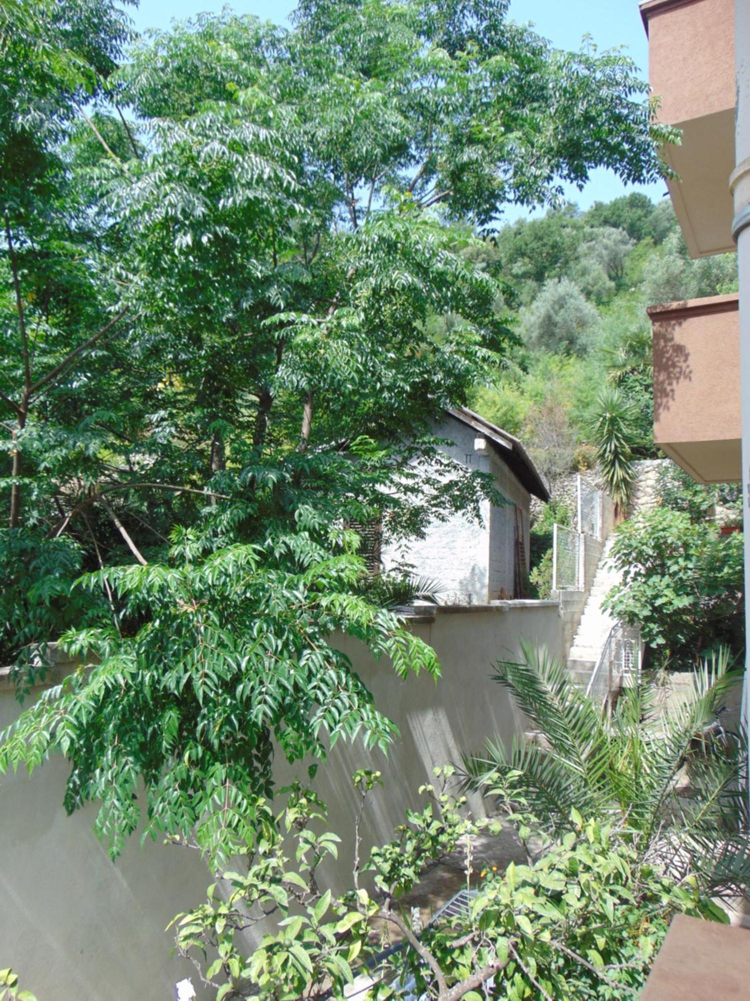 Guest House Ivan بودفا المظهر الخارجي الصورة