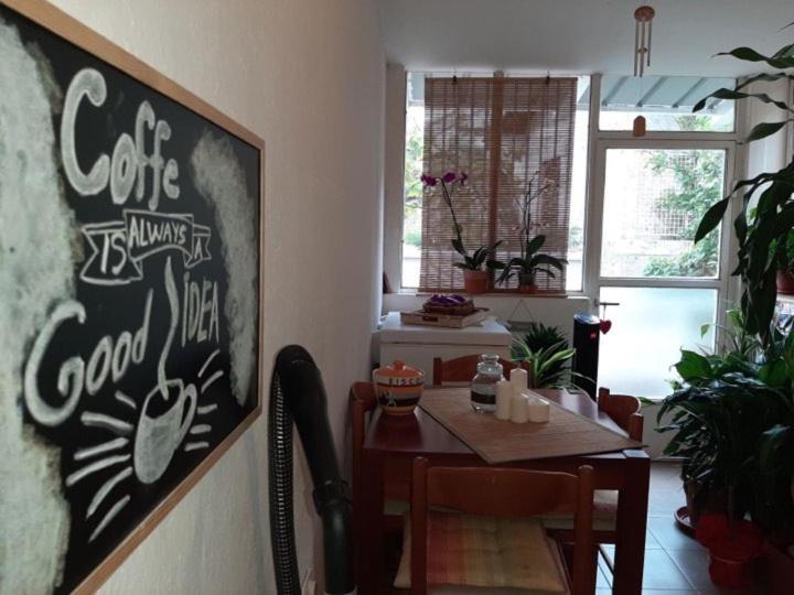 Guest House Ivan بودفا المظهر الخارجي الصورة
